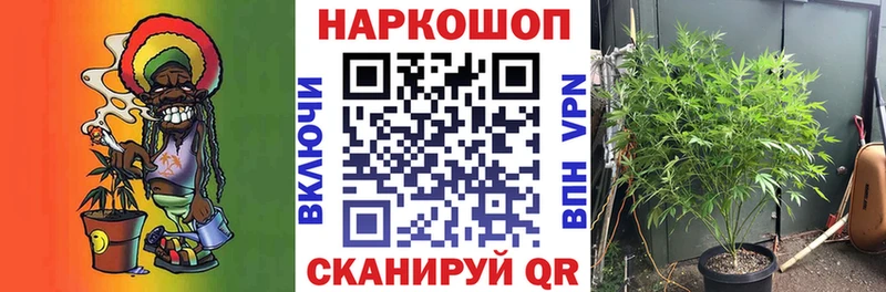 Что такое Камень-на-Оби Alpha-PVP  Меф мяу мяу  МЕТАМФЕТАМИН  АМФ  COCAIN  Марихуана 