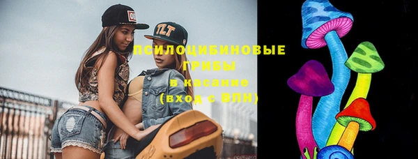 эйфоретик Заводоуковск